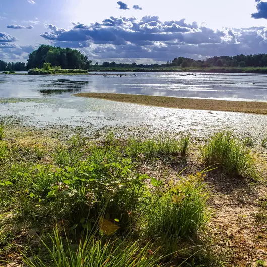 loire-©MDL37