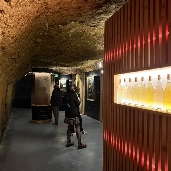 Oenotourisme à la Maison Laudacius - Montlouis-sur-Loire