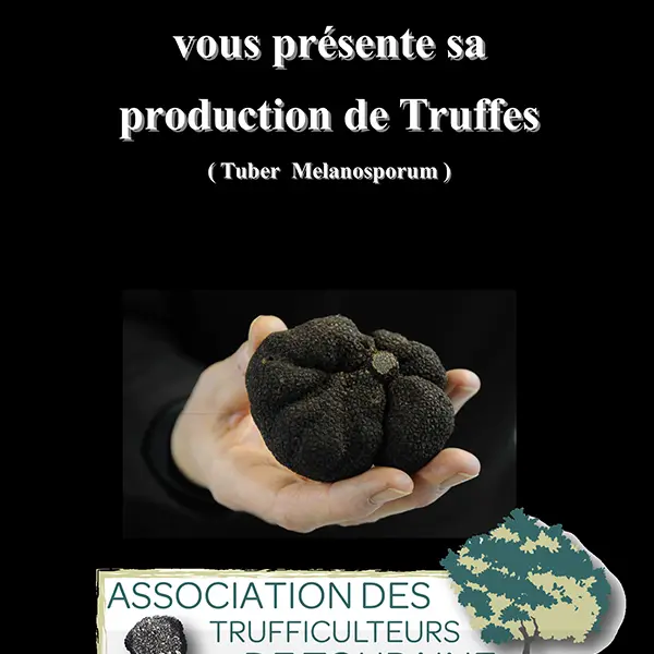 flayer truffe2016 light - noir.pub