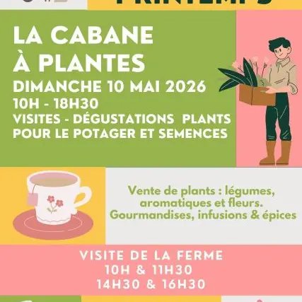 marché-de-printemps-la-cabane-a-plantes