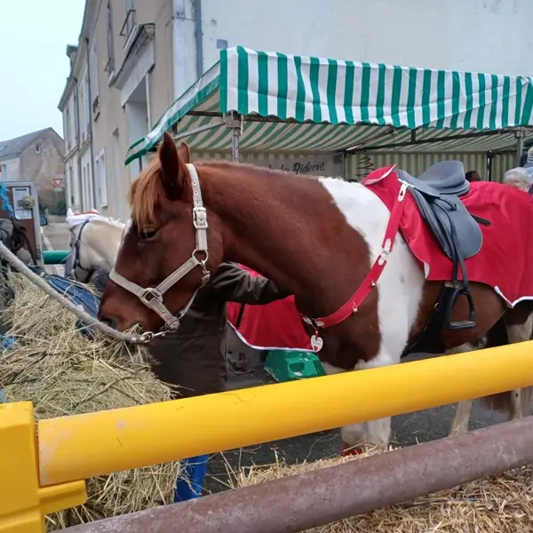 marché noel