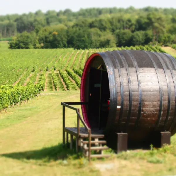Aire de Pique Nique du Mont Sigou, Ingrandes-de-Touraine