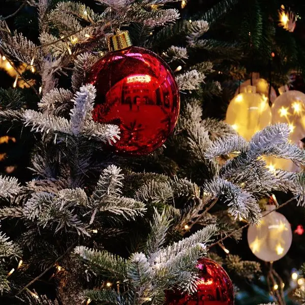noel-rouge-loches-valdeloire