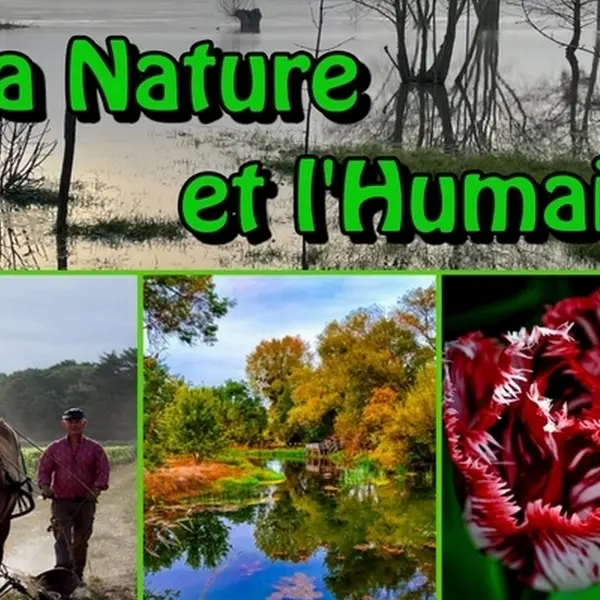 ottn - 2025 - expo declic - bourgueil - 17et18052025