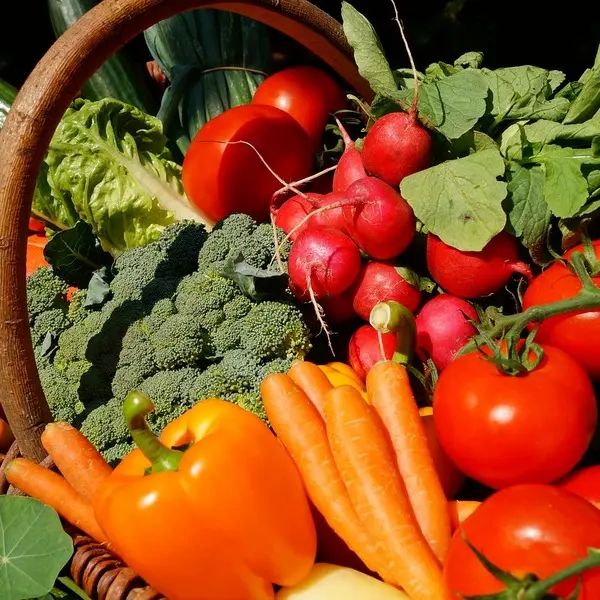 ottn-2023-marche-panierlegumescredit-pixabay