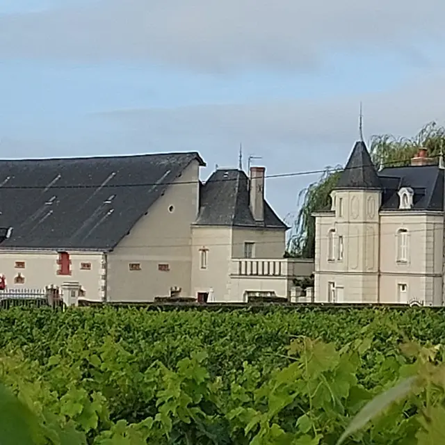 ottn-2025-PO domaine des mailloches - Restigne
