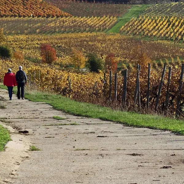 ottn-2025-trail&vin-coteaux-sur-loire