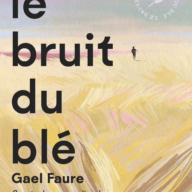 p39_visuel_bruit_ble1