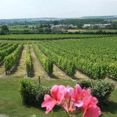 Pique-nique du Vigneron indépendant