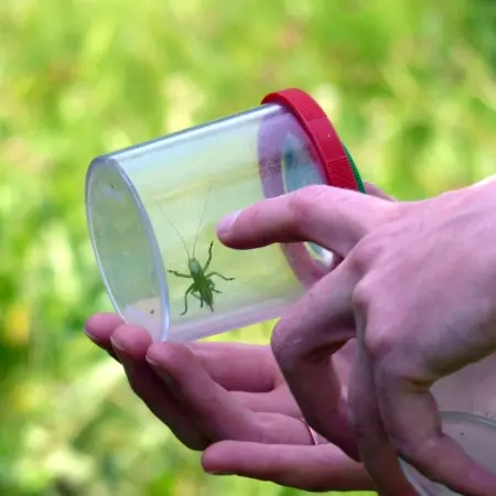 petites-betes-et-compagnie-cp-au-college