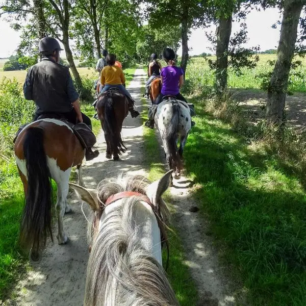 randonnee-chevaux-loches-valdeloire