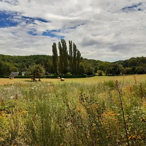 Randonnée de Saint-Ouen-les-Vignes - Vue sur la vallée de la Ramberge