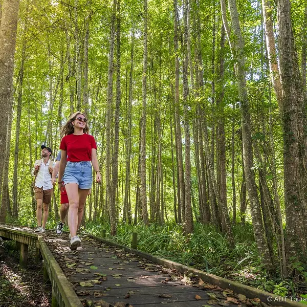 Chemin de la Petite Choisille - Randonnée à Charentilly