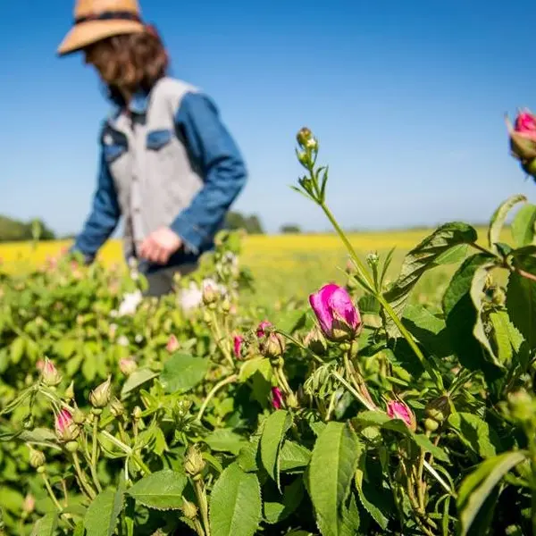 Les Jardins du Cabri