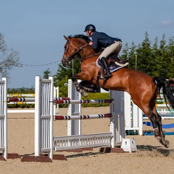 saut-obstacle-cheval-loches-valdeloire