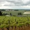 seuilly-chateau-coudray-2enkuw368yad.jpg.150x150_q85