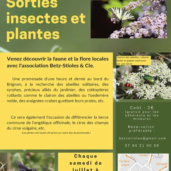 sortieinsectesetplantes-betzlechateau-valdeloire