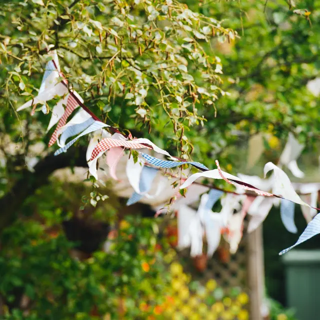 Cultures au jardin