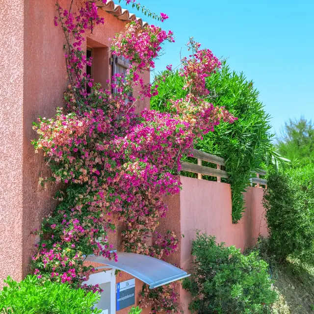 MAQUIS BELLA VISTA