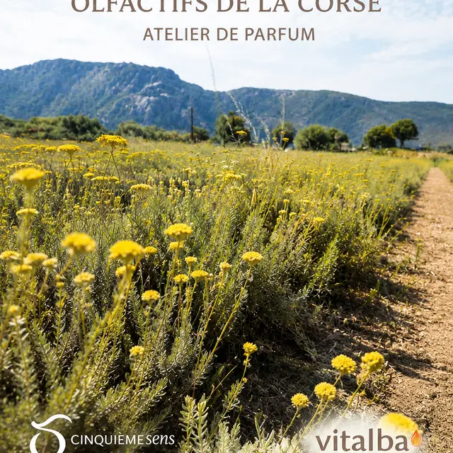 DOMAINE VITALBA - SARTENE