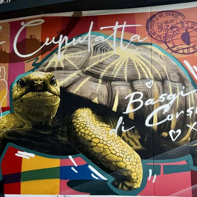 A Cupulatta
