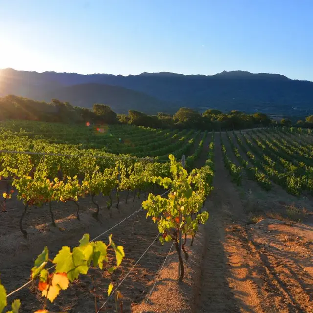 DOMAINE PRATAVONE