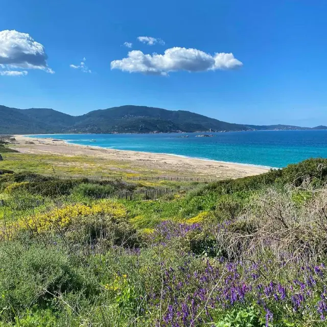 CAPU LAUROSU PROPRIANO CORSE DU SUD