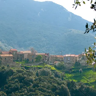 Granace Corse du sud_1