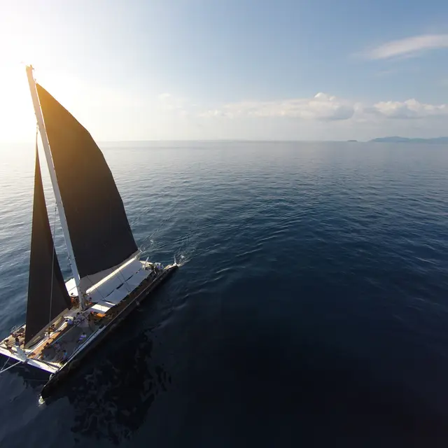 Bonifacio Cape 31 Cup