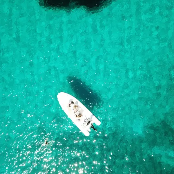 MARINALOC_1_1