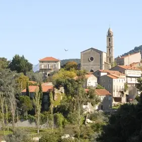 Moca croce Corse du sud_1