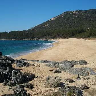 OLMETO PLAGE CORSE DU SUD_1
