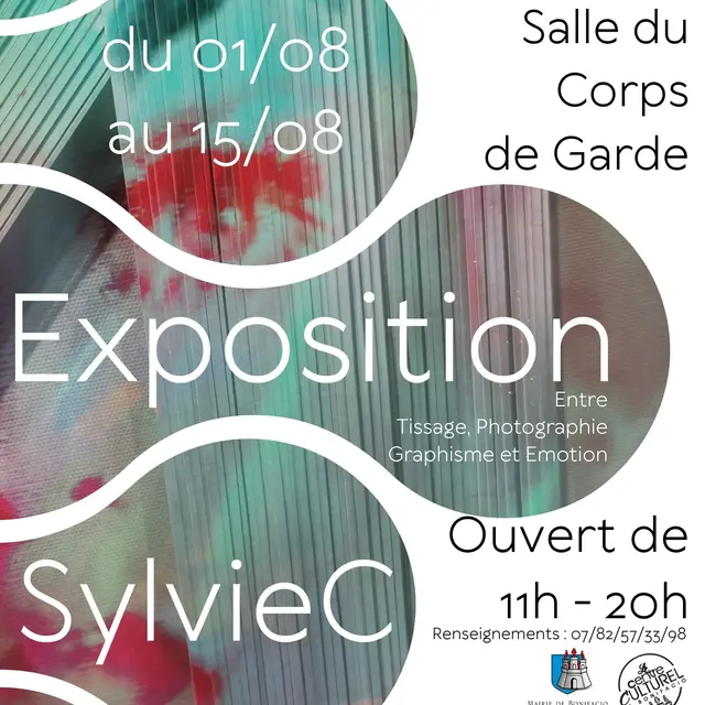 Exposition Sylvie Collu