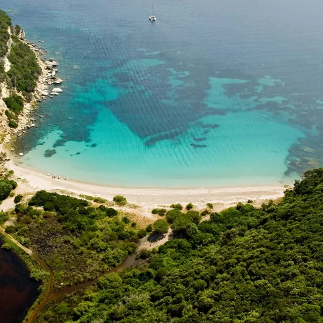 PLAGE DE CANETTO