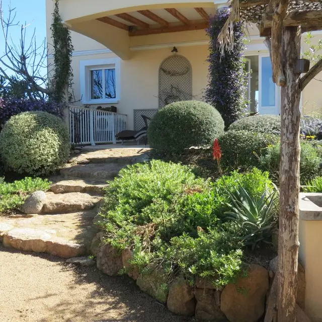 LES ALOES