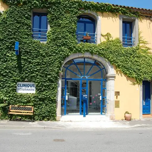 VETERINAIRE