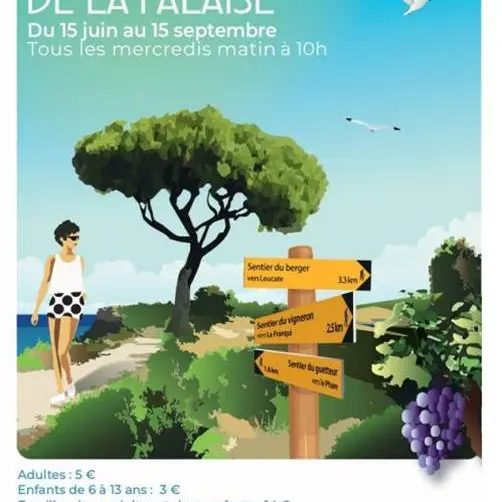 Pub falaise
