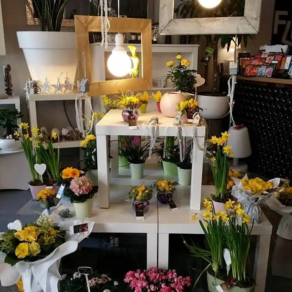 Fleuriste Bellaflora