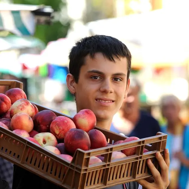 Marché Port Leucate