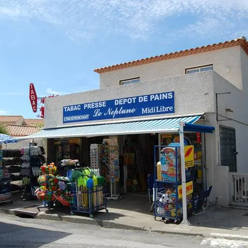 Le Neptune