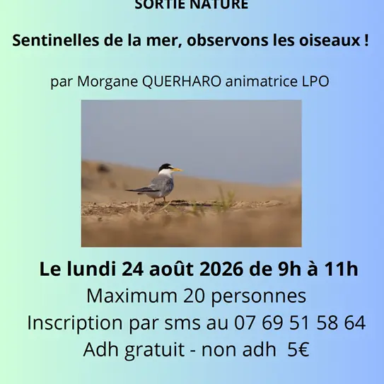 Sortie Nature - Les oiseaux du Littoral