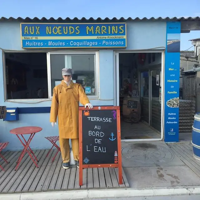 PRODUCTEUR D'HUITRES KROOCKMANN Antoine - Aux Noeuds Marins