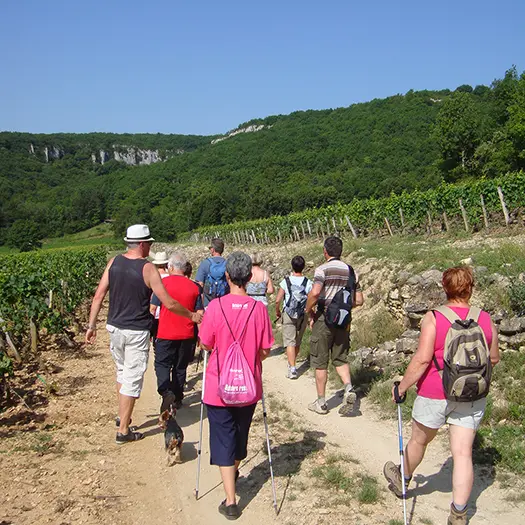 Balade des Grands Crus