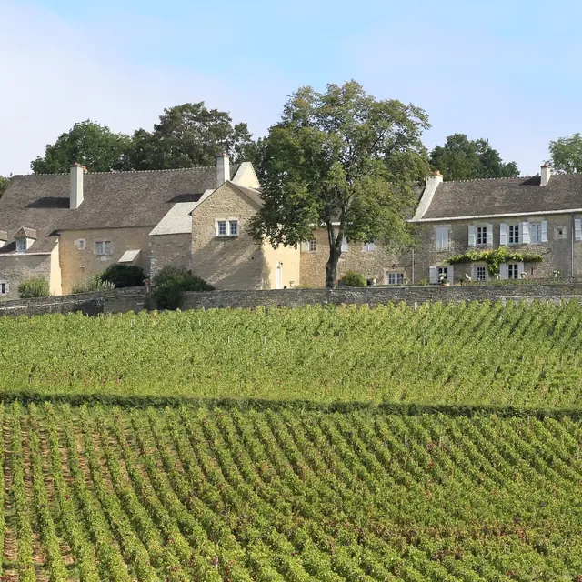 Le Cellier aux Moines et son Clos
