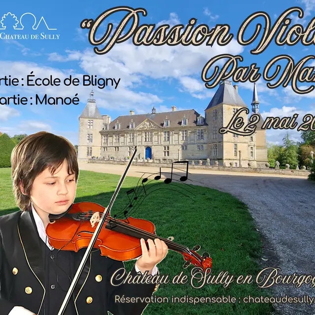 Passion Violon par Manoé