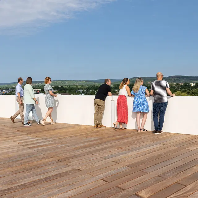 019-Cité des Climats de Beaune-Exterieur-Antoine Martel-Photographe