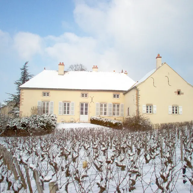010 Domaine en hiver