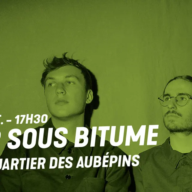 Fleur sous Bitume