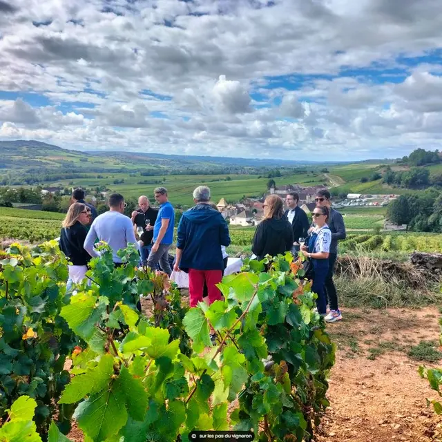 Dans les vignes santenoises