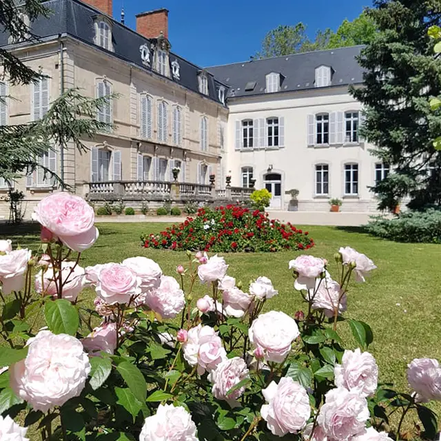 1---Parc-chateau-Dufouleur